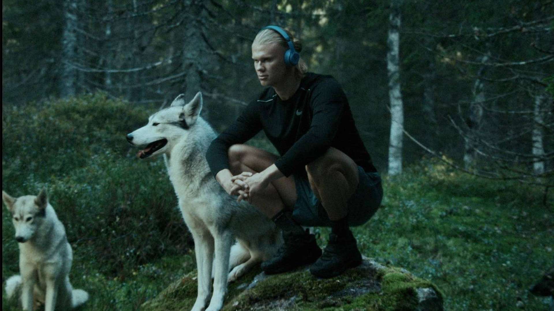 精准引援 精准引援