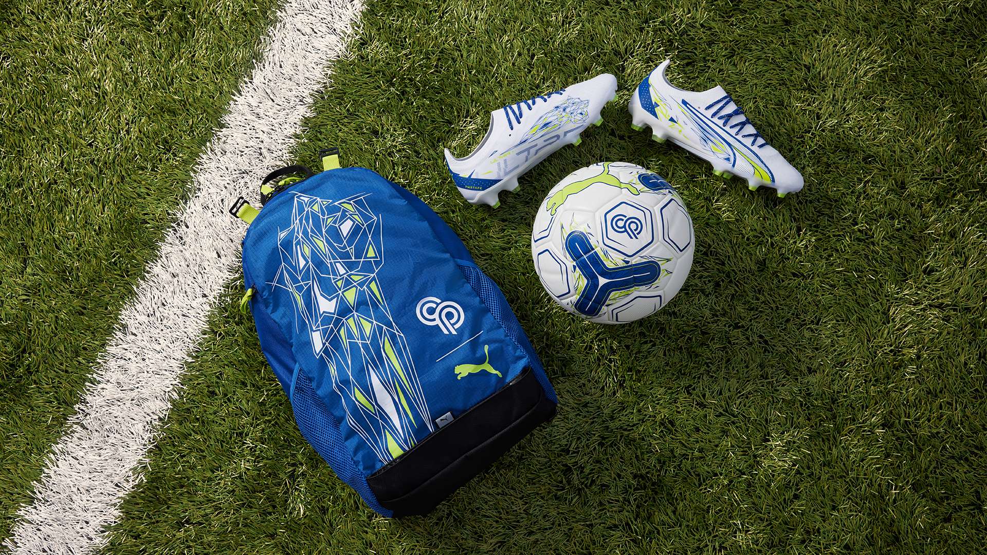 奠定了坚实 奠定了坚实