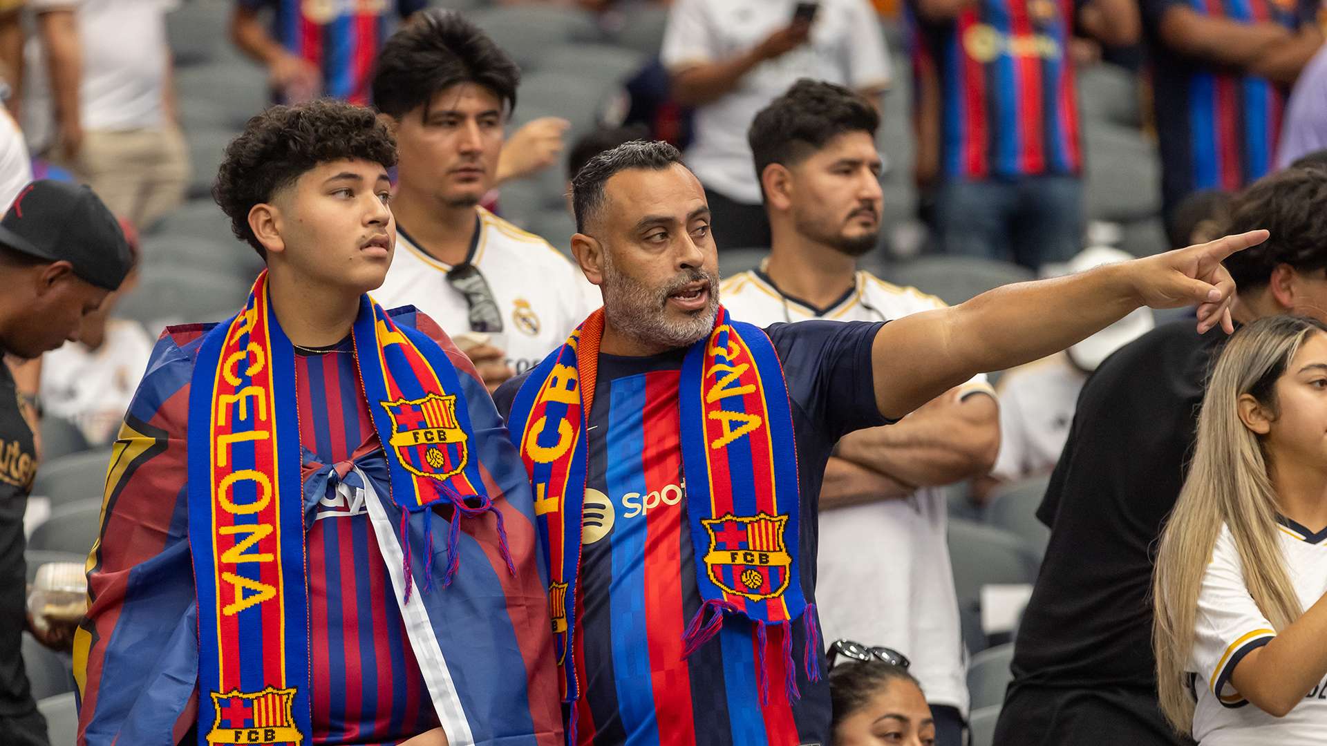 自己的國家 自己的國家